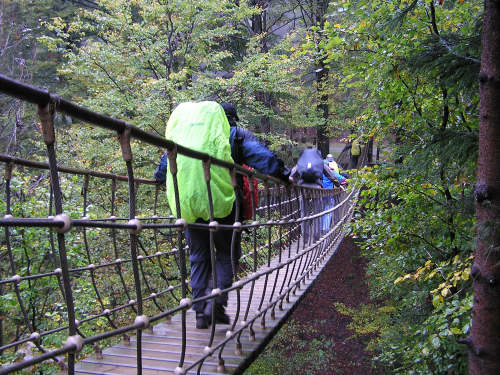 Hängebrücke an der Informationsstation "Ökosystem Wald".